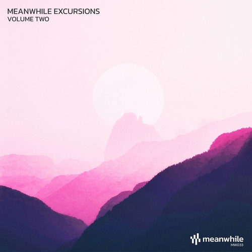 VA - Meanwhile Excursions, Vol. 2 [MW033]